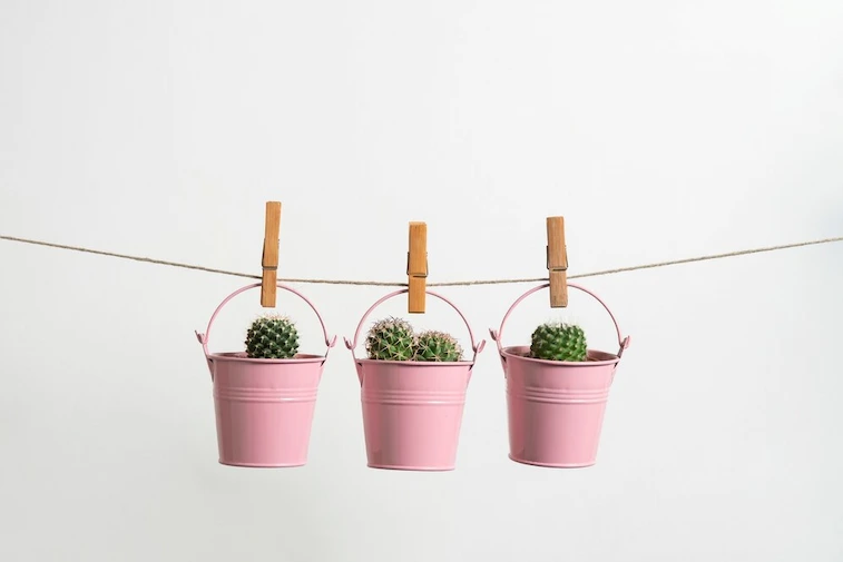 Planter Box: Pengertian dan Langkah Pembuatannya